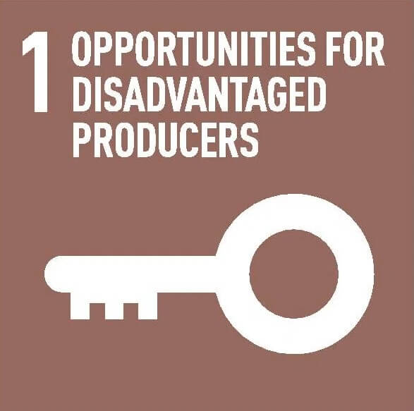 Give me the five - 1 - Opportunities for disadvantaged producers