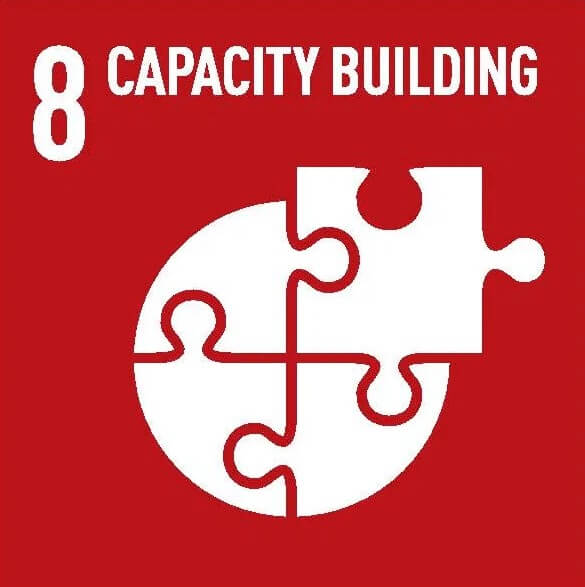 Give me the five - 8 - capacity building